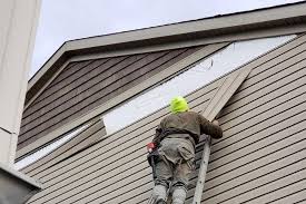 Best Siding Replacement  in Anahola, HI